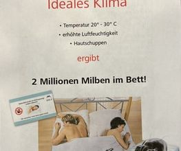 Hyla - Klara Denzler Bild 4