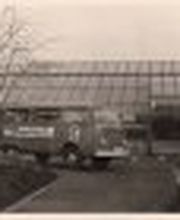 Gärtnerei Constantinescu Bild 7
