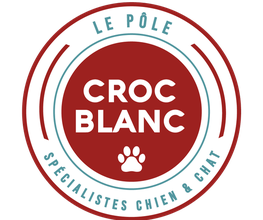Croc Blanc image 18