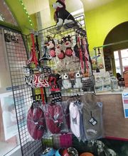 Le Cabot Elegant image 1