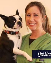 The Pet Doctor - O'Fallon image 5