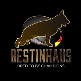 Zwinger vom Bestinhaus German Shepherds