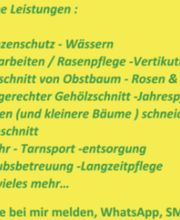 Gartenservice Mark Miess Bild 2