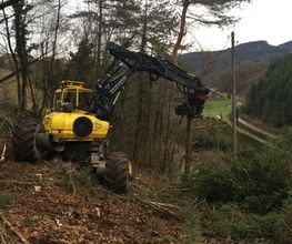 Gebrüder Straumann AG Bild 8