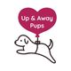 Up and Away Pups