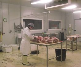 Cochon de Coat Ecuff EURL image 4