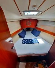 AUSTER SAILORS imagen 11