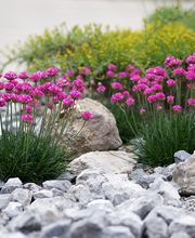 Burri & Achermann Gartenbau AG Bild 3