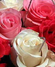 Fleur De Lys image 1