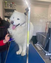 AU CHARME CANIN image 2