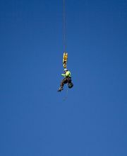 SavATree - Tree Service & Lawn Care image 5