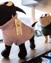 Hundesalon in Liestal - Wir bieten den Tieren eine professionelle Fellpflege. Ein liebevoller und herzlicher Umgang mit Ihrem vierbeinigen Familienmitglied ist für uns oberstes Gebot!