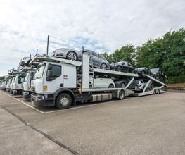 AGT Salel image 20