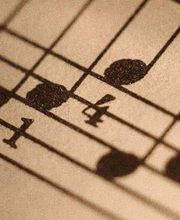 Musikhaus & Schule Trüb Bild 1