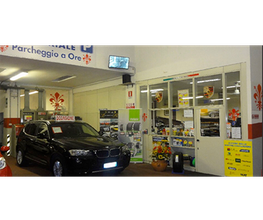 Gallery Cliente