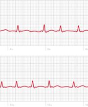 Dr. V. Nam Tran Bild 2