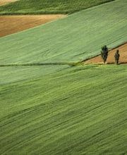 Holste Immobiliensachverständiger Bild 1