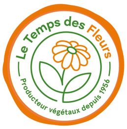 Le Temps Des Fleurs Marcigny