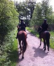 Cheval Nature image 4