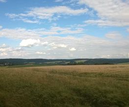 Vom Waldrand aus ergeben sich schöne Aussichten in die Landschaft.