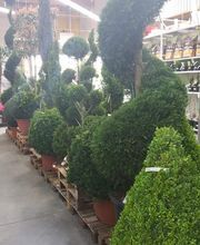 Bricomarché Caudry image 14