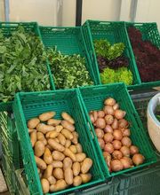 GIARDINI DOS SANTOS CANIÇO Bild 11