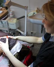 Physiotherapie am Kamenzer Stadion Bild 8