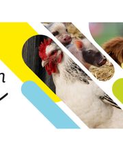 Pienso ecológico Bifeedoo imagen 1