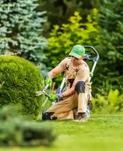 Qatani Garten- & Landschaftsbau Bild 2