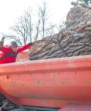 AGS - Arboriste Grimpeur Spécialisé image 6