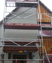 Litschi Maler Bild 4