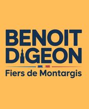 Fiers de Montargis image 6