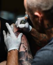 Dragon Studio Bild 11