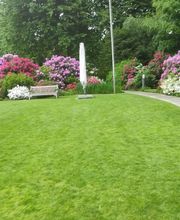 MM Gartenpflege GmbH Bild 10