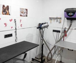 sala-tratamientos-03.jpg