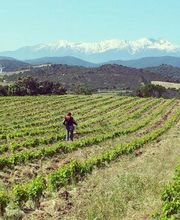 Domaine Rousselin image 7