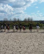 Centre Equestre De Serqueux image 1