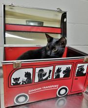 Chateau Dog & Cat Hospital image 19