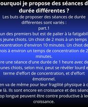 Éduc'Instinct image 13