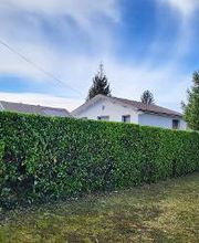 Daniel Moquet signe vos jardins - Ent. Harmony Paysage image 9