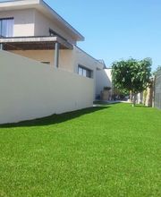 Martin Marius Bild 6