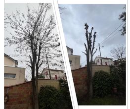 Marq Jardin image 3