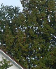 Praxis Huluk Gattikon Bild 4