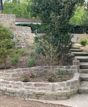 Gebr. Klein - Baumdienst und Gartengestaltung Bild 3