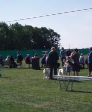 Bleekveld Plastics afbeelding 3