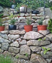 Braun Gartenbau AG Bild 9