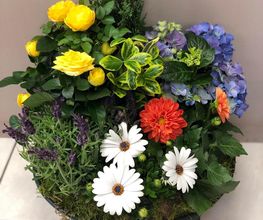 Amicie Fleurs image 1