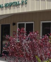Alpine Animal Hospital image 1