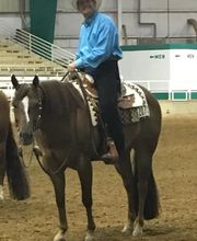 Cordova Station Animal Hospital image 1