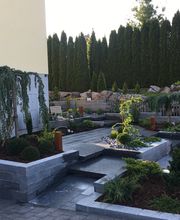 Schefer's Garten GmbH Bild 8